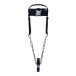 Head Harness